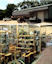 Lookout Mercantile